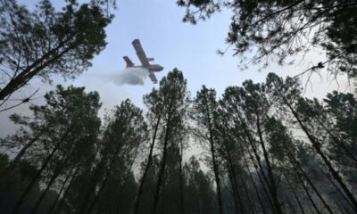 Dans les Landes, les pompiers traquent les braises qui se réveillent