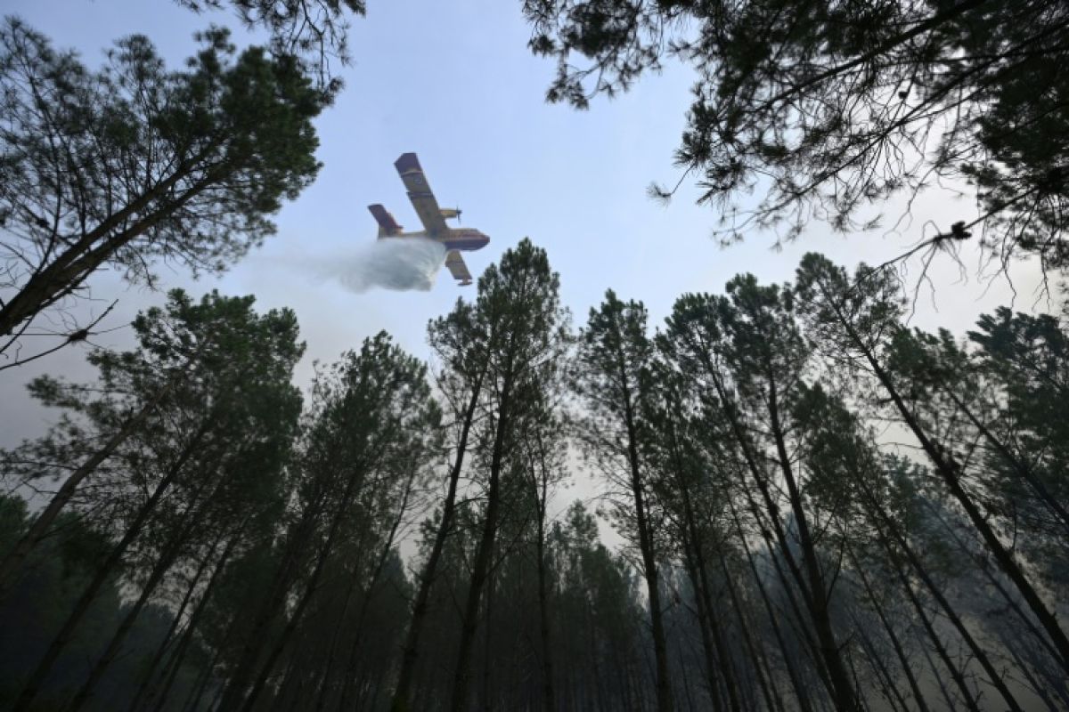 Dans les Landes, les pompiers traquent les braises qui se réveillent