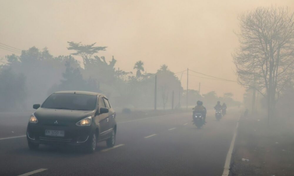 Bornéo sous les fumées, Jakarta déploie 1 500 soldats de plus