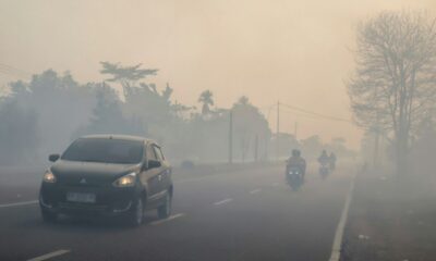 Bornéo sous les fumées, Jakarta déploie 1 500 soldats de plus