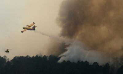 Gironde, un sursis menacé par le pic de chaleur extrême