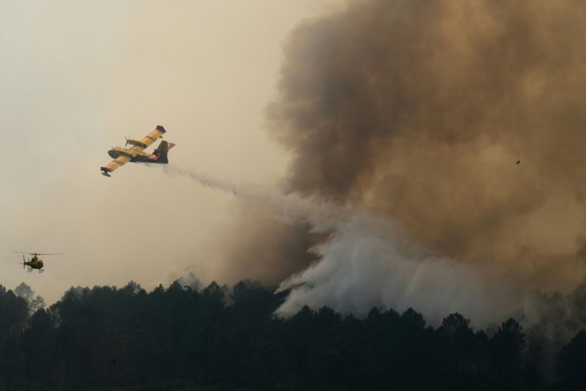 Gironde, un sursis menacé par le pic de chaleur extrême