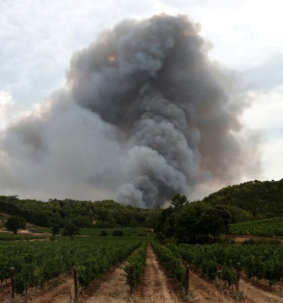 Incendie dans le Var, la trêve est fragile avant que le vent ne ravive les flammes