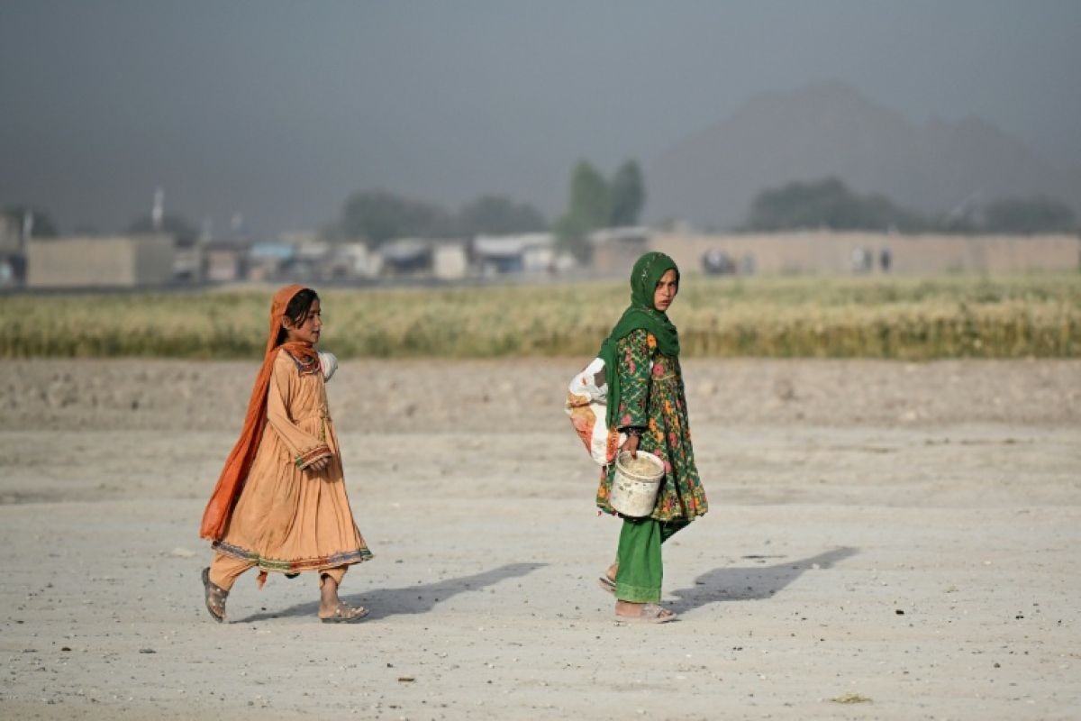 Un million d'enfants afghans en danger de mort, l'Unicef sonne l'alarme
