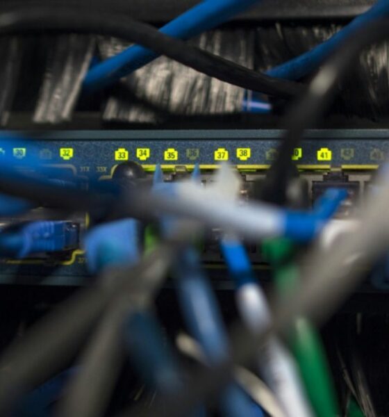 La Maison Blanche engage des hackers privés pour riposter aux cybercriminels