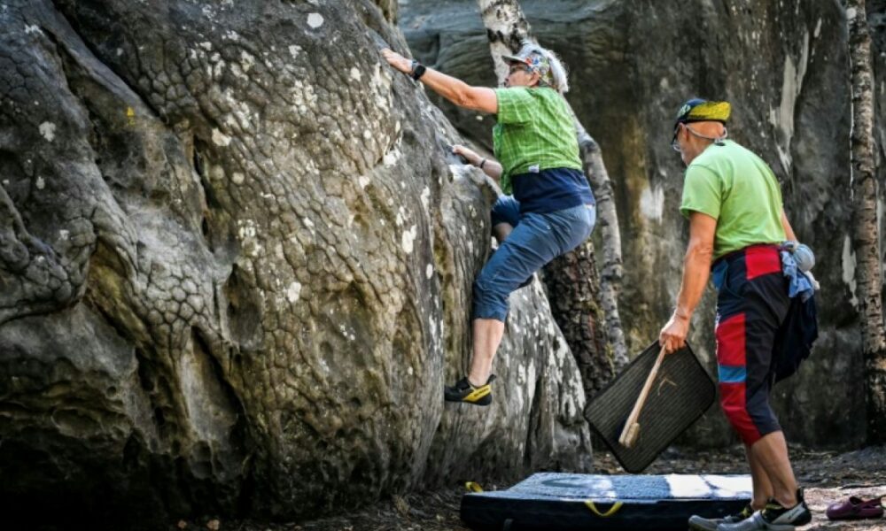 À Fontainebleau, les grimpeurs retrouvent enfin leurs blocs de grès