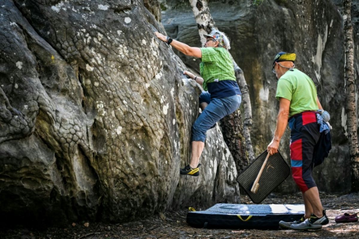 À Fontainebleau, les grimpeurs retrouvent enfin leurs blocs de grès