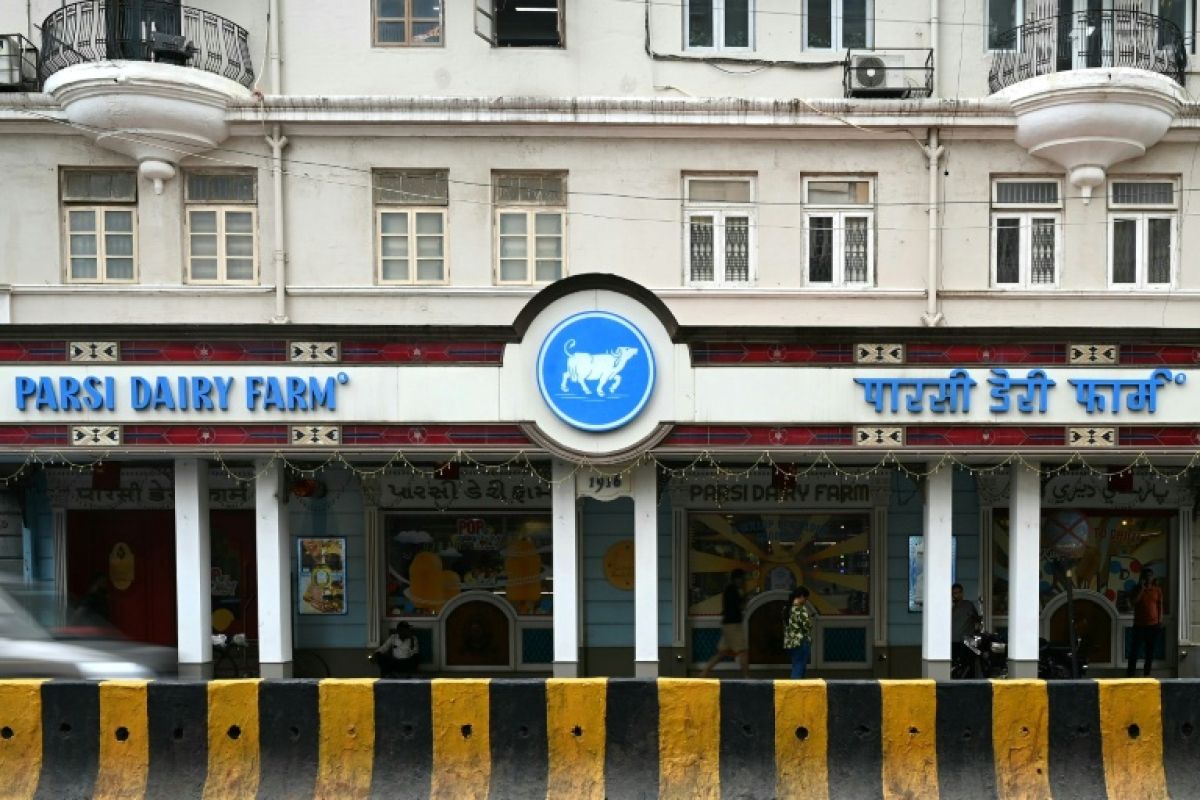 Rats et mouches dans une pâtisserie de Bombay, la chasse aux cuisines sales est lancée