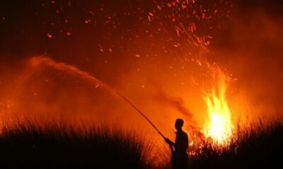 El Niño s'annonce record et 2027 pourrait battre tous les records de chaleur