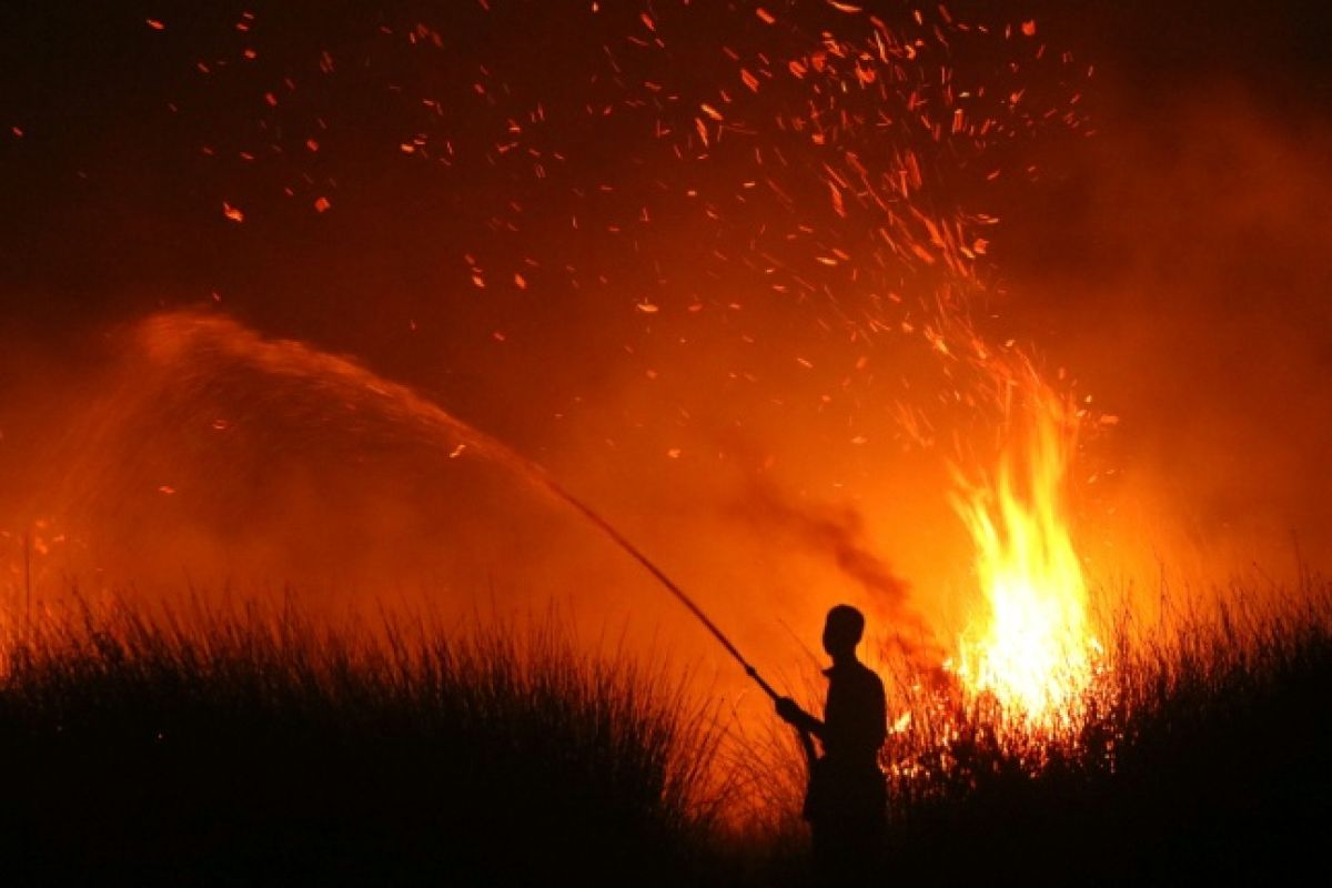 El Niño s'annonce record et 2027 pourrait battre tous les records de chaleur