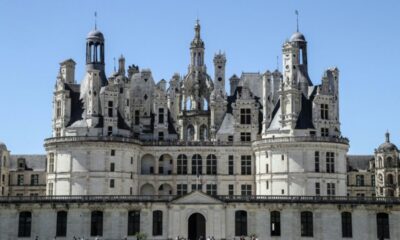 Chambord face à la soif, ses arbres rendent l'âme