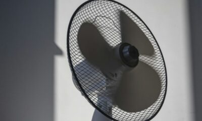 À Lyon, la canicule transforme le quotidien des seniors en course à la fraîcheur