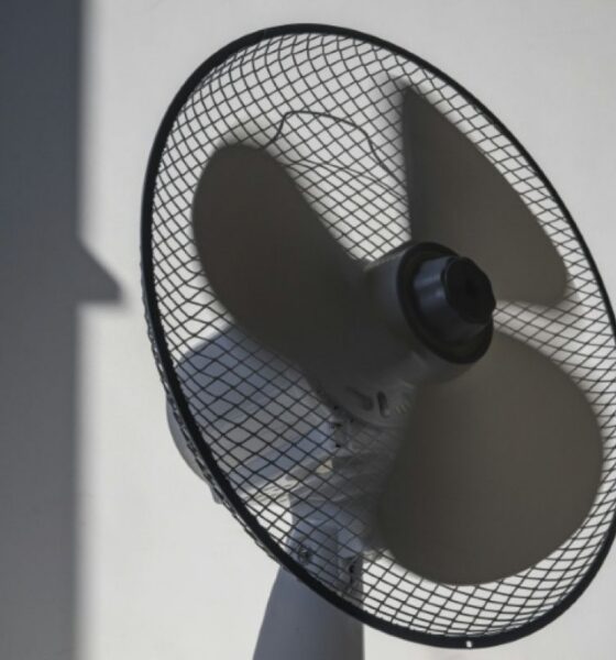 À Lyon, la canicule transforme le quotidien des seniors en course à la fraîcheur