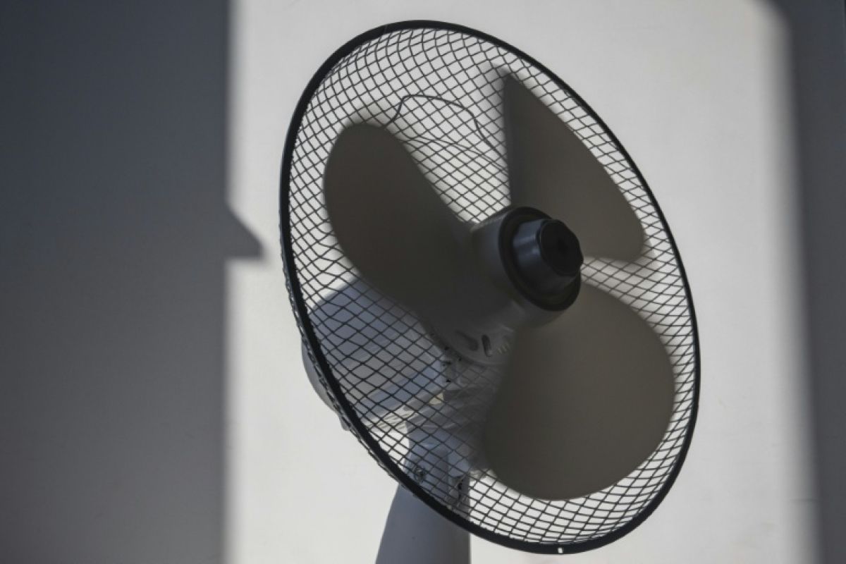 À Lyon, la canicule transforme le quotidien des seniors en course à la fraîcheur