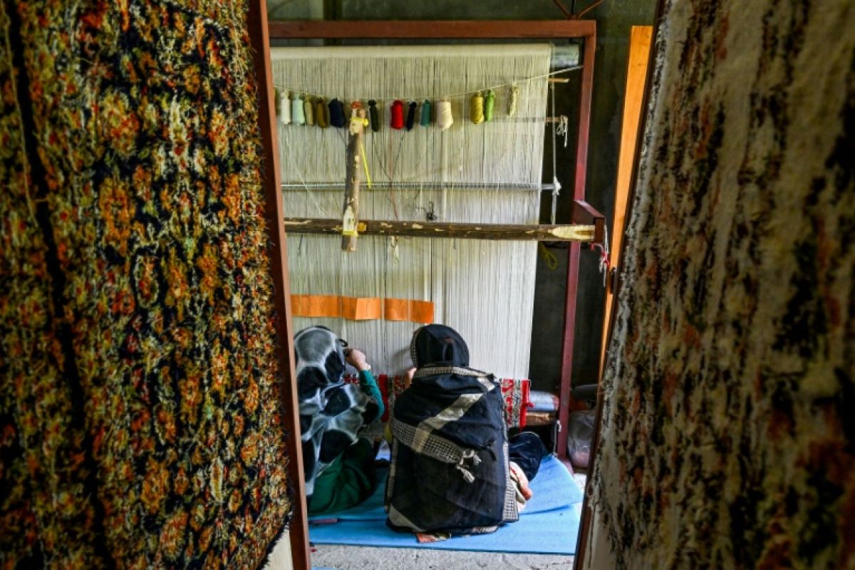 Le Cachemire n'arrive plus à vendre ses tapis de légende