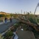 Pomas se réveille sous les bâches après la tornade
