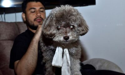 Un frère retrouve le chien de sa sœur morte dans ses bras sous les ruines de Cali