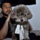 Un frère retrouve le chien de sa sœur morte dans ses bras sous les ruines de Cali