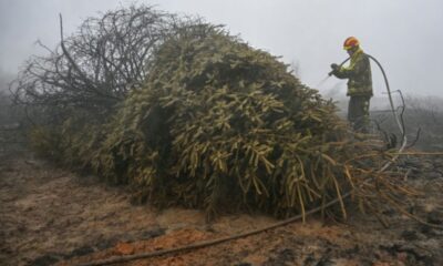 Les évacués de l'incendie belge retrouvent leurs foyers mais le feu couve encore dans les profondeurs