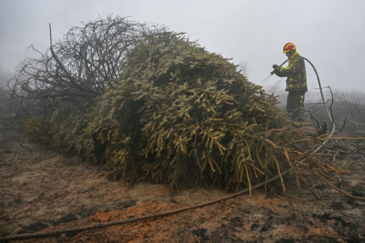 Les évacués de l'incendie belge retrouvent leurs foyers mais le feu couve encore dans les profondeurs