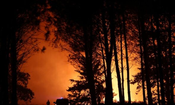 La forêt des Landes brûle encore et un village entier attend de voir si les flammes reculent