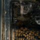 Reconstruire vite et à l’identique après les incendies, l’erreur à ne pas commettre
