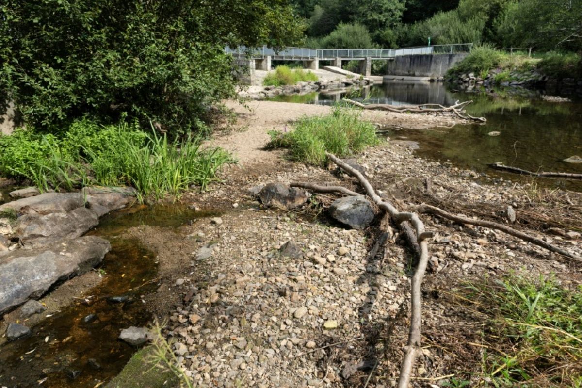 La rivière se meurt, des bénévoles sauvent ses poissons