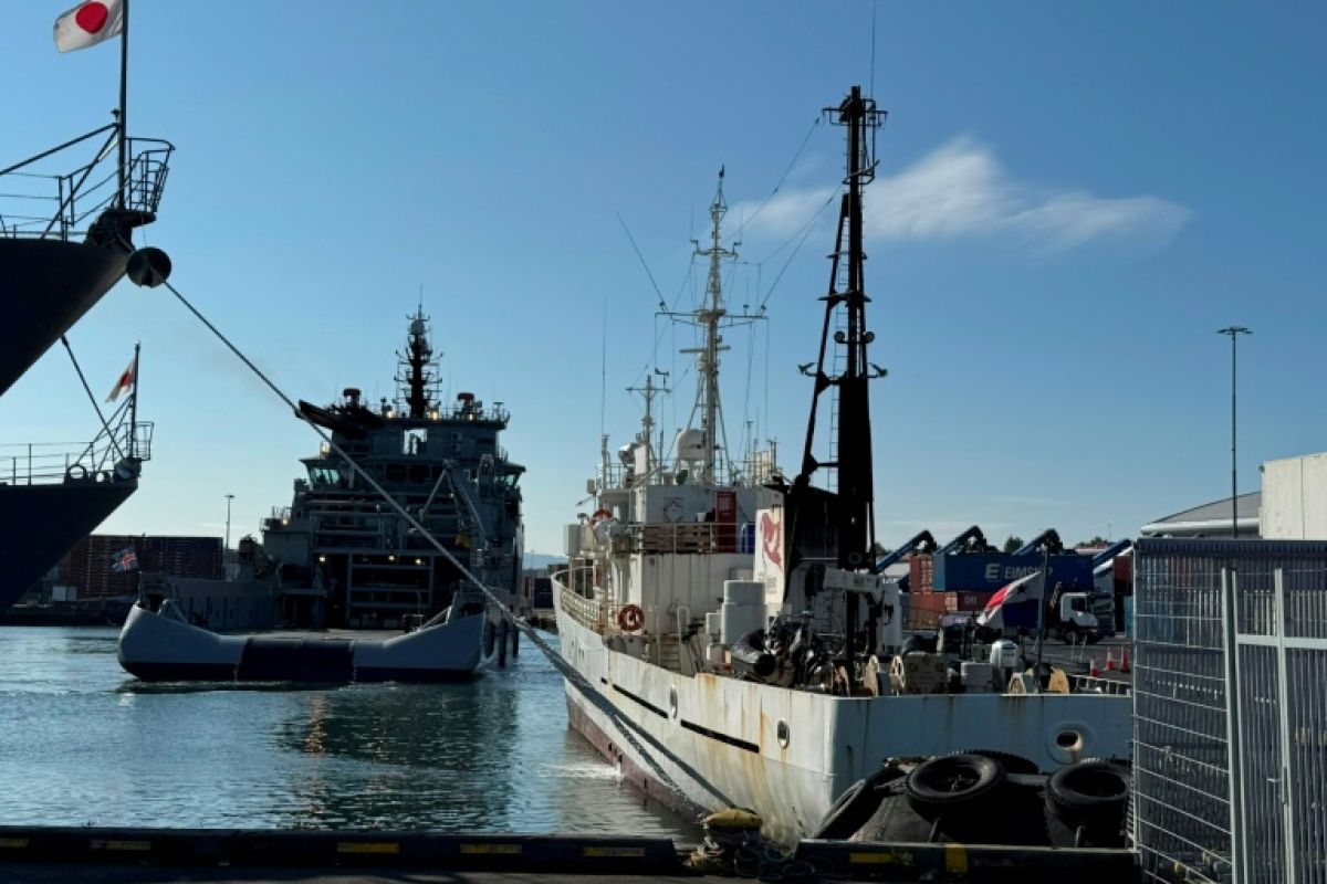L'Islande expulse les 21 militants du navire de Paul Watson pour au moins deux ans