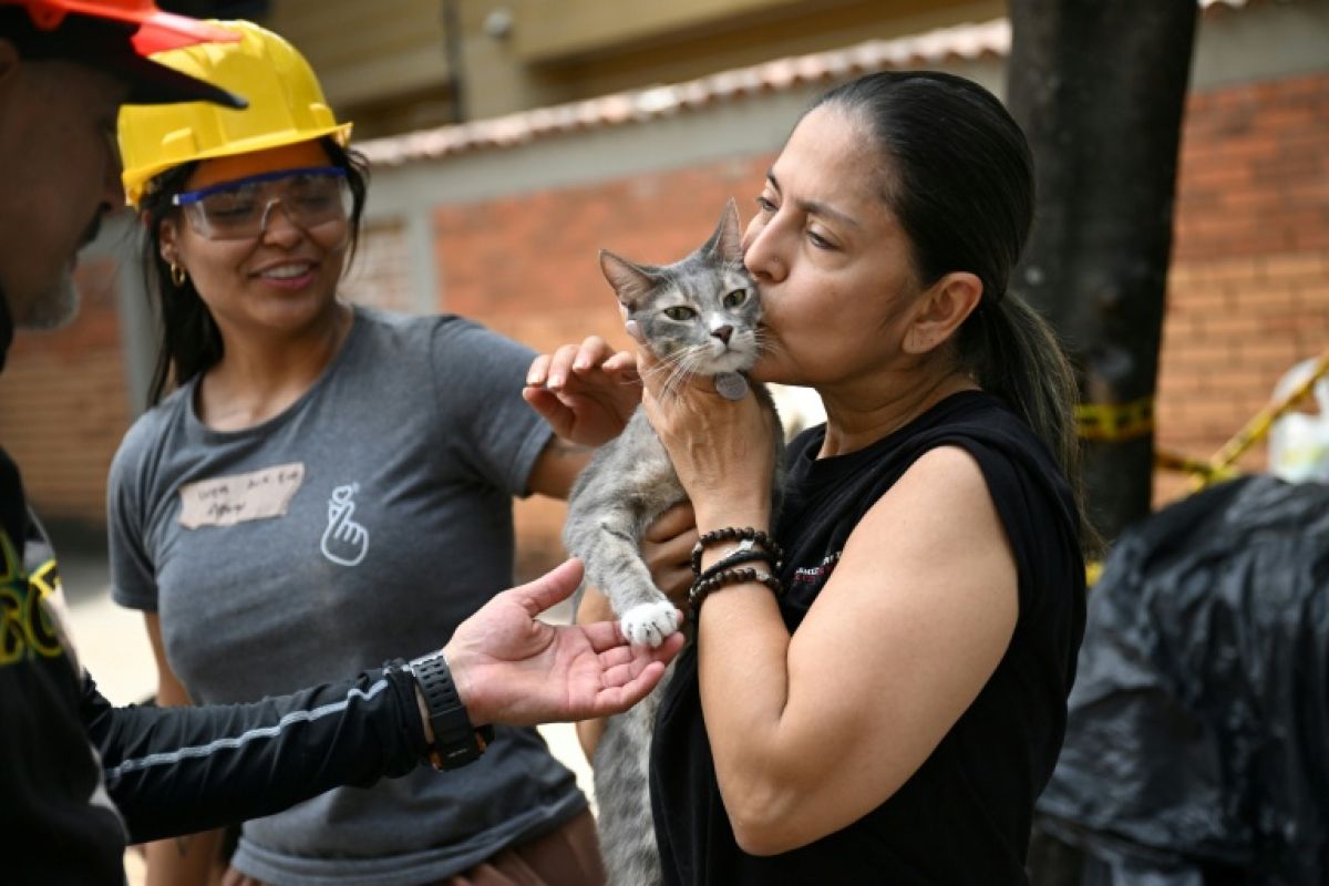 Un chat sorti vivant des ruines à Cali, le baume au cœur des sinistrés