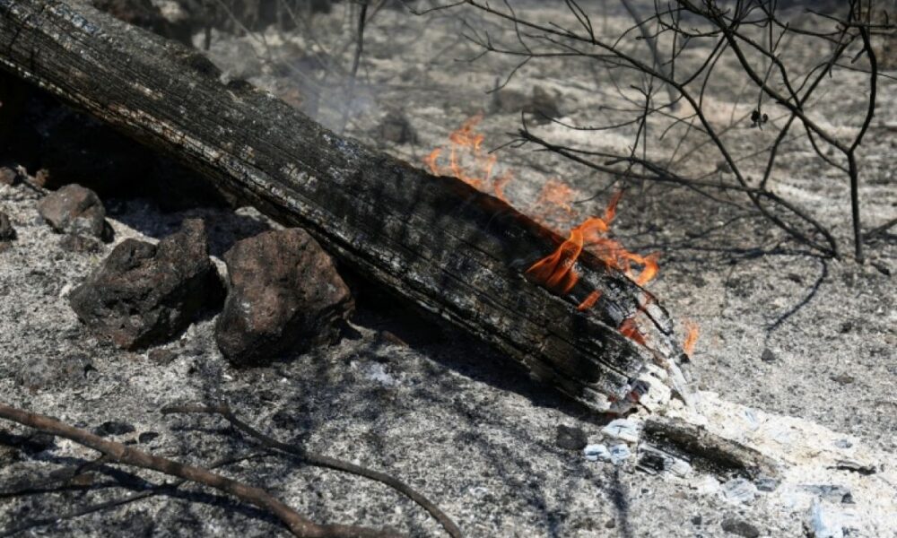 Le mégafeu est fixé, la Gironde attaque une tout autre bataille