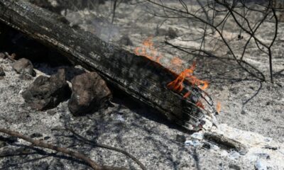 Le mégafeu est fixé, la Gironde attaque une tout autre bataille