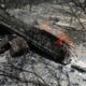 Le mégafeu est fixé, la Gironde attaque une tout autre bataille