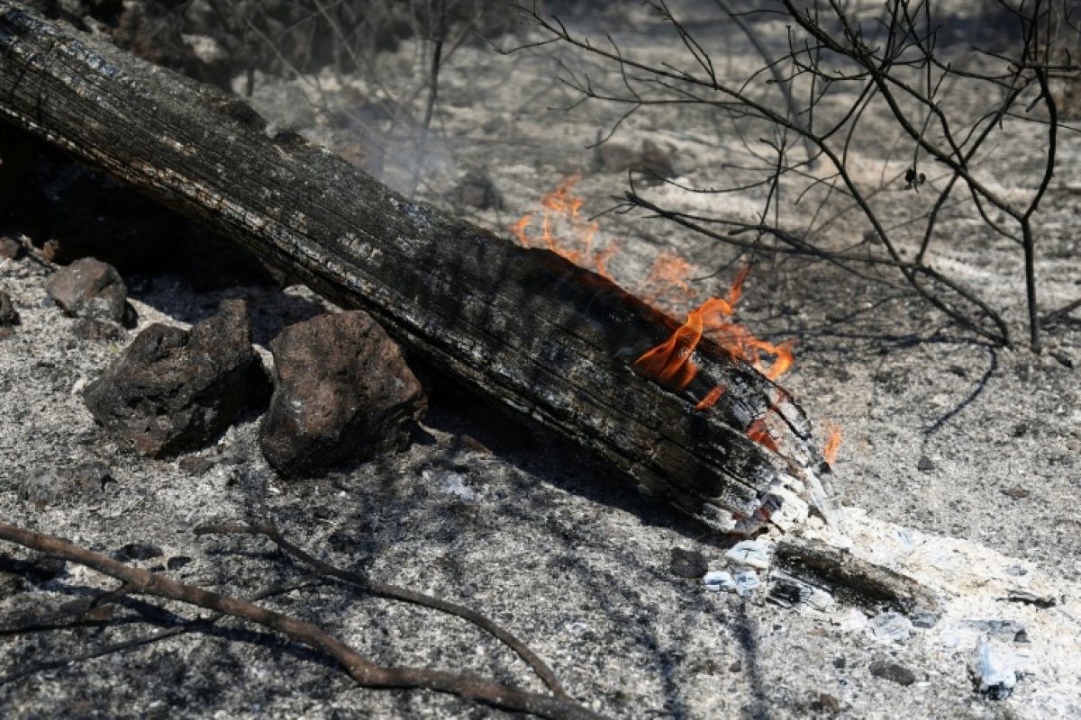 Le mégafeu est fixé, la Gironde attaque une tout autre bataille