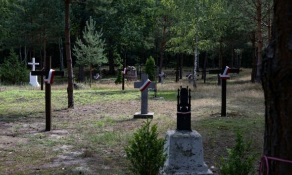 Ces ossements retrouvés dans un champ de tournesols ravivent la plaie entre la Pologne et l'Ukraine