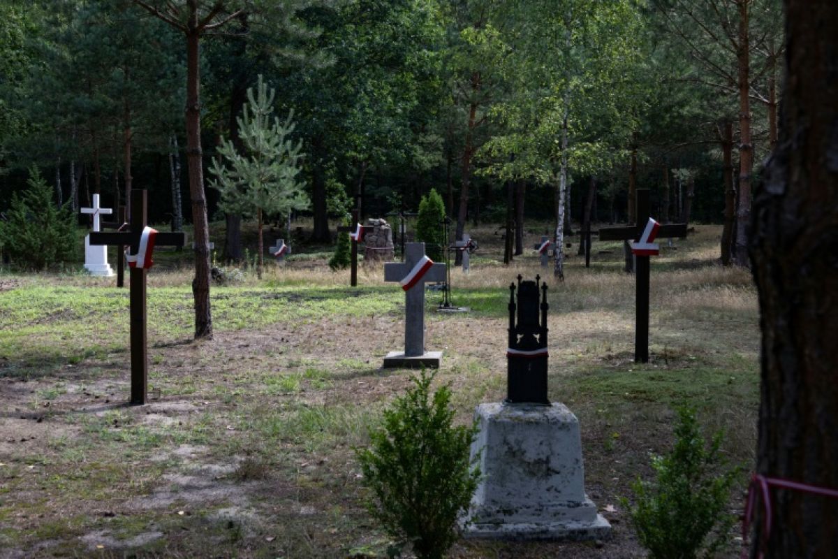 Ces ossements retrouvés dans un champ de tournesols ravivent la plaie entre la Pologne et l'Ukraine
