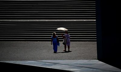 L'Allemagne n'avait jamais payé un aussi lourd tribut à la chaleur