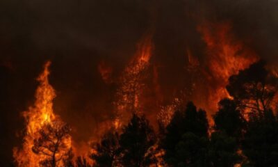 Porto Germeno sous la menace, les pompiers grecs livrent une bataille épuisante contre les flammes