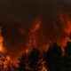 Porto Germeno sous la menace, les pompiers grecs livrent une bataille épuisante contre les flammes