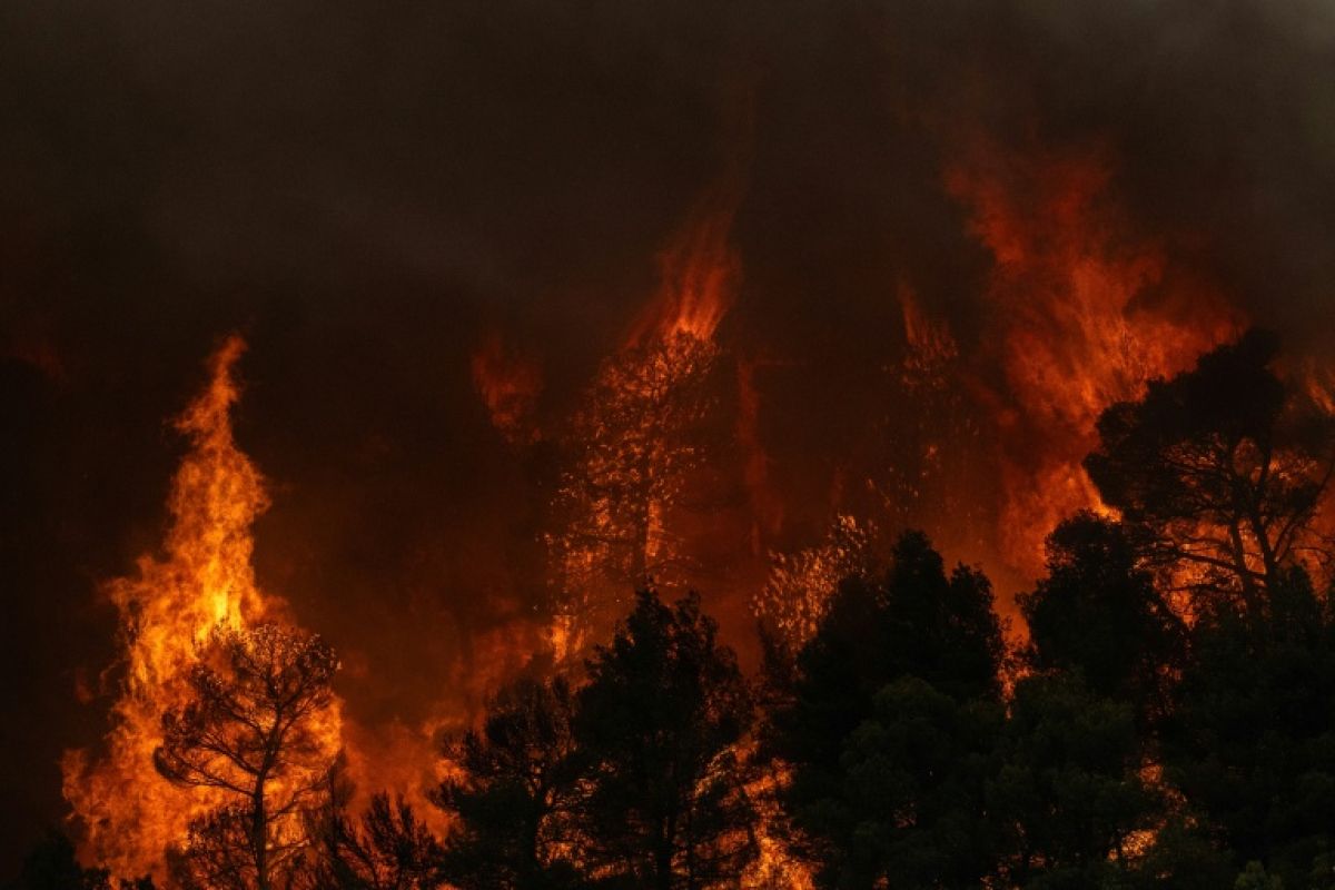 Porto Germeno sous la menace, les pompiers grecs livrent une bataille épuisante contre les flammes