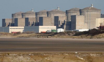 Des méduses mettent trois réacteurs nucléaires à l’arrêt dans le Nord