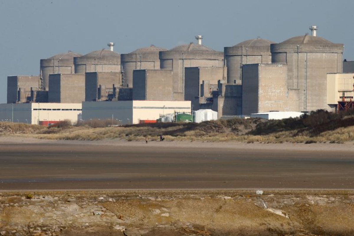 Des méduses mettent trois réacteurs nucléaires à l’arrêt dans le Nord