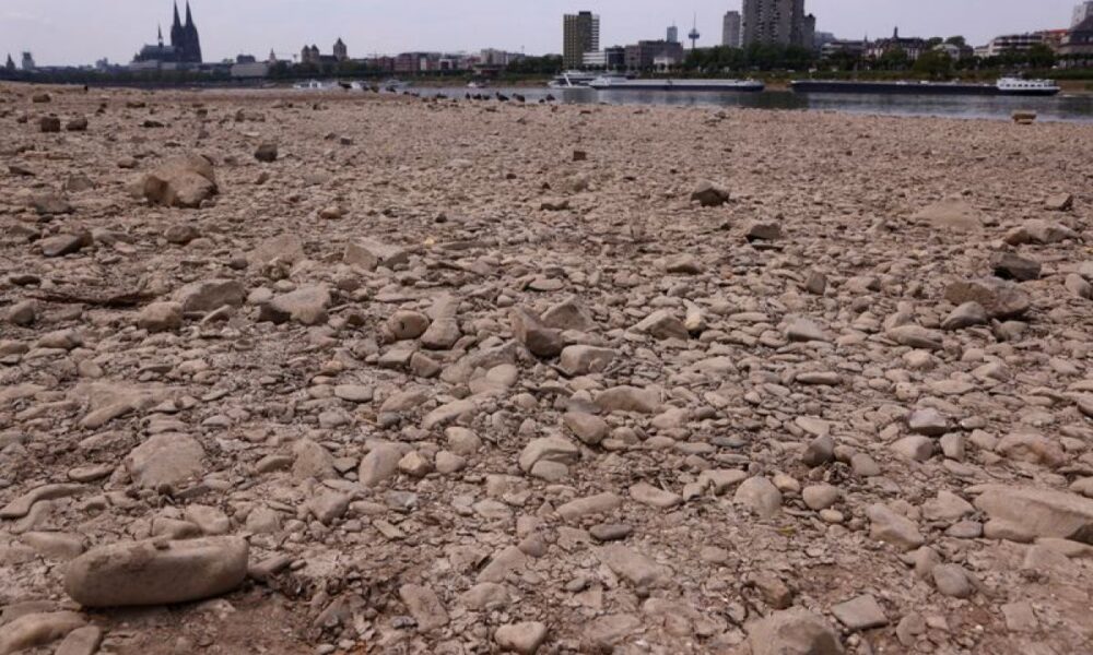 Le Rhin asphyxié par la canicule, les péniches naviguent au ralenti