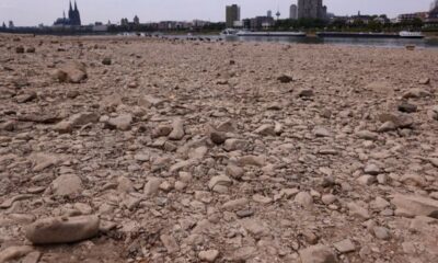 Le Rhin asphyxié par la canicule, les péniches naviguent au ralenti