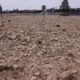 Le Rhin asphyxié par la canicule, les péniches naviguent au ralenti