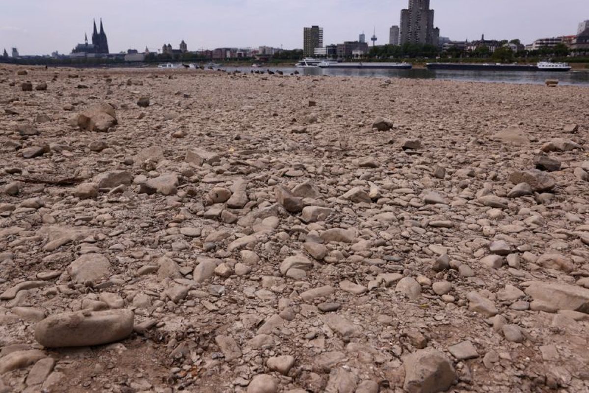 Le Rhin asphyxié par la canicule, les péniches naviguent au ralenti