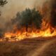 Un maire et deux hommes écroués après l'incendie géant aux portes d'Athènes