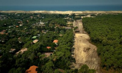 Le pare-feu sauvage du Cap-Ferret devant la justice