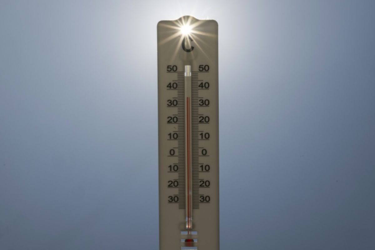 Après 22 jours de chaleur, la France est à un jour du record absolu de 1983