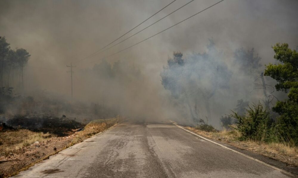 La villa blanche a survécu à l’incendie grâce à des draps mouillés