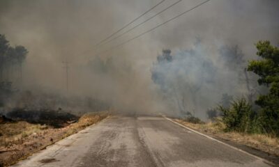 La villa blanche a survécu à l’incendie grâce à des draps mouillés